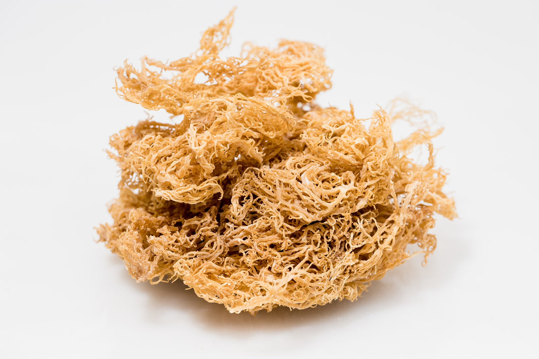 Raw Gold Sea Moss (1 Pound)